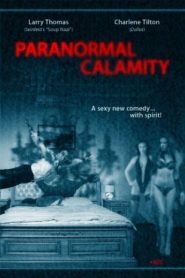 คืนหลอน วิญญาณพิศวาส Paranormal Calamity (2010)