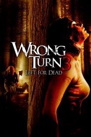 หวีดเขมือบคน 3 Wrong Turn 3: Left for Dead (2009)
