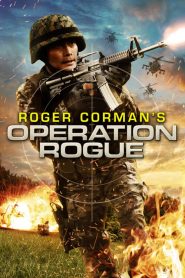ยุทธการดับแผนการร้าย Operation Rogue (2014)