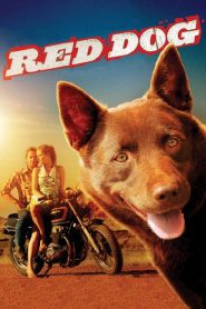 เพื่อนซี้หัวใจหยุดโลก Red Dog (2011)