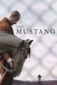 ปราบพยศฟื้นฟูใจ The Mustang (2019)