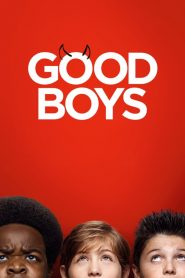 เด็กดีที่ไหน? Good Boys (2019)
