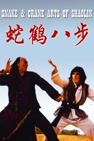 ศึกบัญญัติ 8 พญายม Snake and Crane Arts of Shaolin (1978)