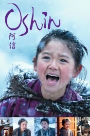 โอชิน สาวน้อยหัวใจแกร่ง Oshin (2013)