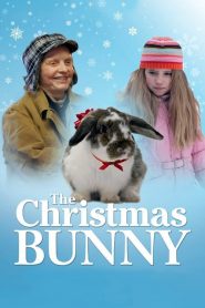 กระต่ายน้อยเพื่อนเลิฟ The Christmas Bunny (2010)