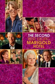 โรงแรมสวรรค์ อัศจรรย์หัวใจ 2 The Second Best Exotic Marigold Hotel (2015)