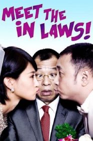 พิสูจน์รักฉบับนายบ้านนอก Meet the In Laws (2012)