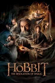 เดอะ ฮอบบิท: ดินแดนเปลี่ยวร้างของสม็อค The Hobbit: The Desolation of Smaug (2013)