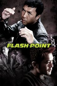 ลุยบ้าเลือด Flash Point (2007)