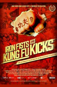กังฟูสะท้านปฐพี Iron Fists and Kung Fu Kicks (2019)