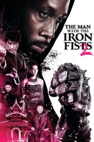 วีรบุรุษหมัดเหล็ก 2 The Man with the Iron Fists 2 (2015)
