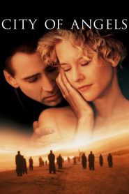 สัมผัสรักจากเทพ เสพซึ้งถึงวิญญาณ City of Angels (1998)