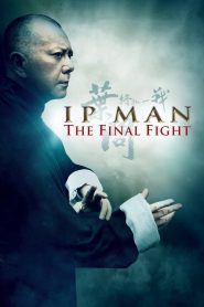 หมัดสุดท้าย ปรมาจารย์ยิปมัน Ip Man: The Final Fight (2013)