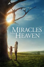 ปาฏิหาริย์แห่งสวรรค์ Miracles from Heaven (2016)