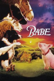เบ๊บ หมูน้อยหัวใจเทวดา 1 Babe (1995)