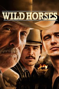 ฟื้นคดีโหดฝังแผ่นดิน Wild Horses (2015)