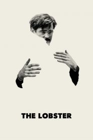 โสดเหงาเป็นล็อบสเตอร์ The Lobster (2015)