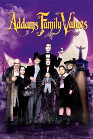 ตระกูลนี้ผียังหลบ ภาค 2 Addams Family Values (1993)