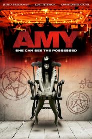 เอมี่ หลอนซ่อนวิญญาณ Amy (2013)
