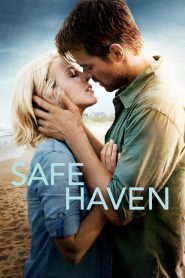 รักแท้หยุดไว้ที่เธอ Safe Haven (2013)