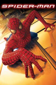 ไอ้แมงมุม Spider-Man (2002)