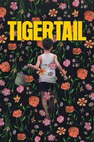 รอยรักแห่งวันวาน Tigertail (2020)