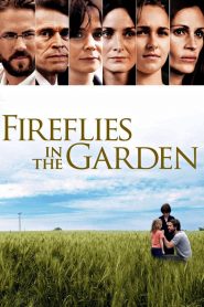 ปาฏิหาริย์สายใยรัก Fireflies in the Garden (2008)