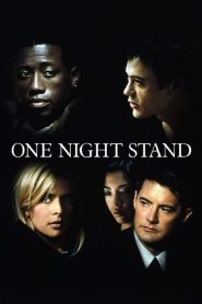 ขอแค่คืนนี้คืนเดียว One Night Stand (1997)