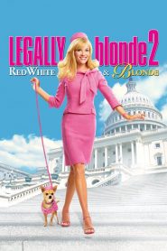 สาวบลอนด์หัวใจดี๊ด๊า 2 Legally Blonde 2: Red, White & Blonde (2003)