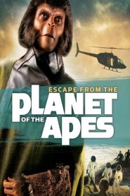 หนีนรกพิภพวานร Escape from the Planet of the Apes (1971)