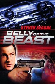 ฝ่าล้อมอันตรายข้ามชาติ Belly of the Beast (2003)