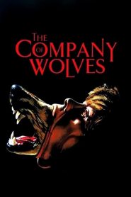 เขย่าขวัญสาวน้อยหมวกแดง The Company of Wolves (1984)