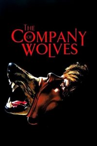 เขย่าขวัญสาวน้อยหมวกแดง The Company of Wolves (1984)