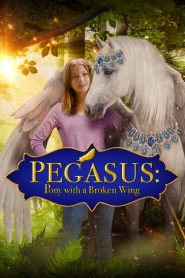 Pegasus: Pony With a Broken Wing (2019)