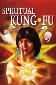 ไอ้หนุ่มพันมือ ตอน 2 Spiritual Kung Fu (1978)