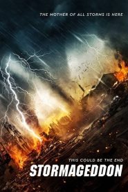 มหาวิบัติทลายโลก Stormageddon (2015)