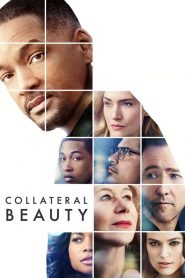 คอลแลทเทอรัล บิวตี้ Collateral Beauty (2016)