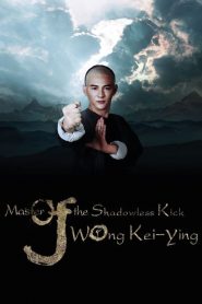 ยอดยุทธ พ่อหนุ่มหมัดเมา 2 Master Of The Shadowless Kick: Wong Kei-Ying (2016)