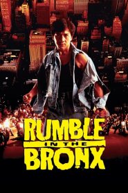 ใหญ่ฟัดโลก Rumble in the Bronx (1995)