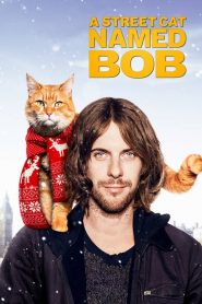 บ๊อบ แมว เพื่อน คน A Street Cat Named Bob (2016)
