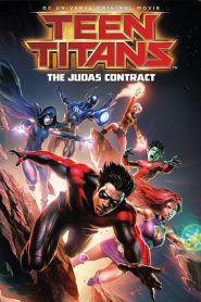 ทีน ไททันส์ รวมพลังฮีโร่วัยทีน Teen Titans: The Judas Contract (2017)