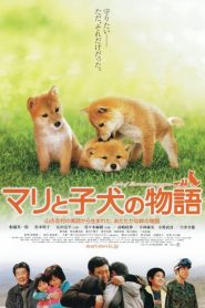 เพื่อนซื่อ… ชื่อ มาริ A Tale of Mari and Three Puppies (2007)