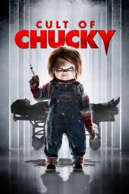 แค้นฝังหุ่น รวมทีมนรกสั่งมาเชือด Cult of Chucky (2017)