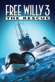 เพื่อเพื่อนด้วยหัวใจอันยิ่งใหญ่ 3 Free Willy 3: The Rescue (1997)