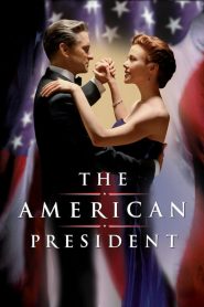 ผิดหรือถ้าจะมีรักอีกครั้ง The American President (1995)