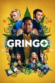 กริงโก้ ซวยสลัด Gringo (2018)
