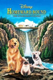 2 หมา 1 แมว ใครจะพรากเราไม่ได้ Homeward Bound: The Incredible Journey (1993)