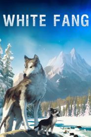 ไอ้เขี้ยวขาว White Fang (2018)