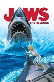 จอว์ส 4 Jaws: The Revenge (1987)