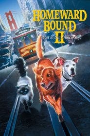2 หมา 1 แมว ใครจะพรากเราไม่ได้ Homeward Bound II: Lost in San Francisco (1996)